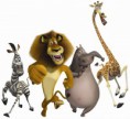 Prezentácia zvieratká z Madagascaru